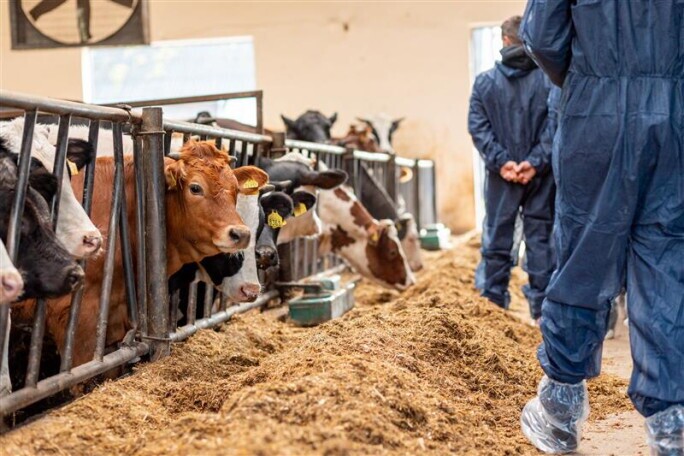 przedstawiciel ds. skupu (SG), 1. Zdjęcie